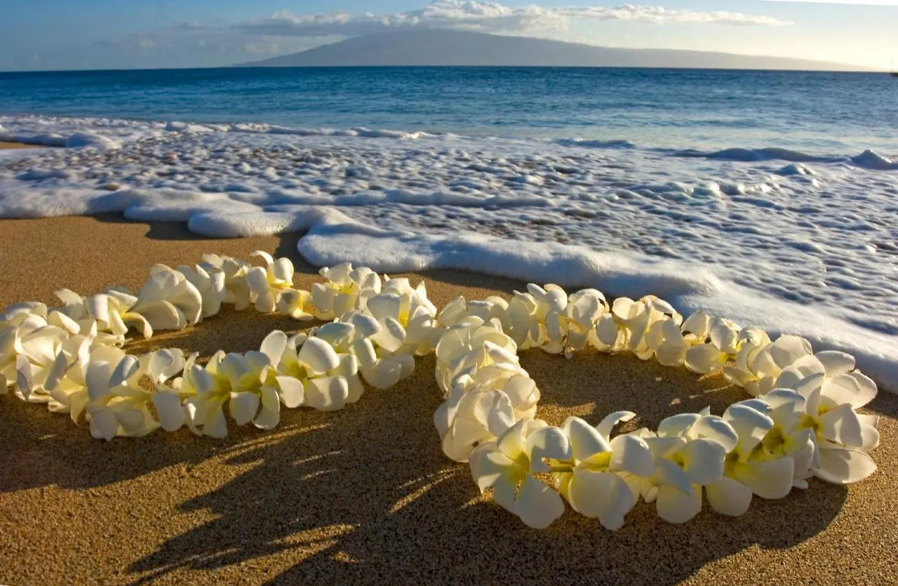 Newly Renovated Ilikai Marina Studio - Near Beach! Honolulu 0*,